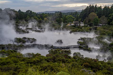 whakarewarewa, the living maori village|whaka village.